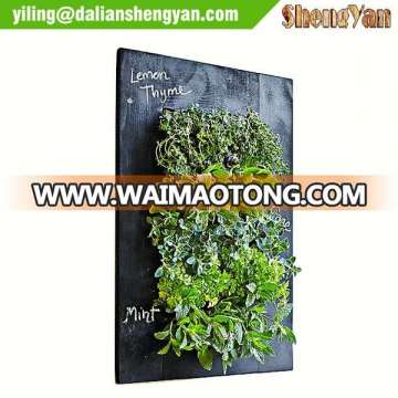 Living Wall Garden, Black Chalkboard